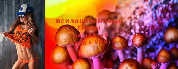 МДМА Богданович
