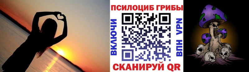 закладка  Щучье  Галлюциногенные грибы прущие грибы 